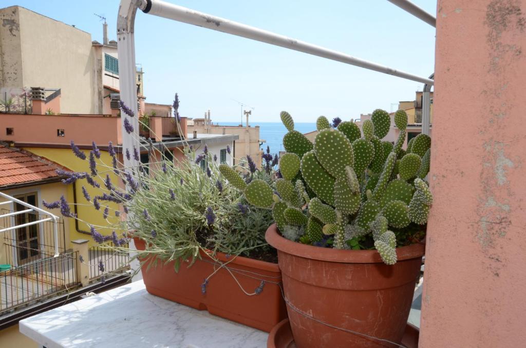 Hotel Banchi Riomaggiore Esterno foto